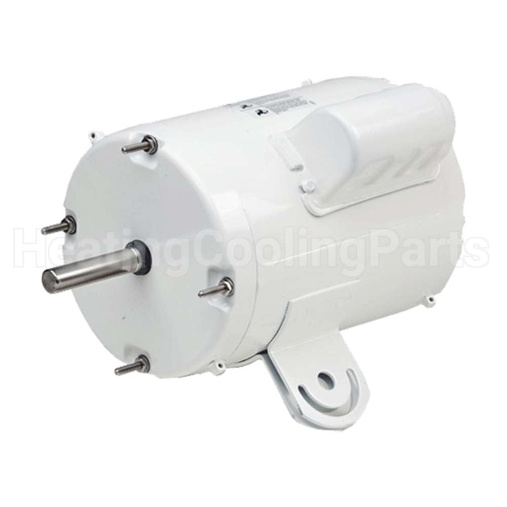 WD13AA2PZ7 US Motors Nidec White Epoxy Motor