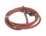WIR03469 Trane Wire Assembly