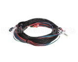 WIR07692 Trane Wire Harness Xover Bcxd