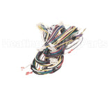 WIR09914 Trane Wire Harness Power Controls