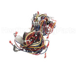 WIR10014 Trane Wire Harness Controls - Rtrm