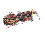 WIR10014 Trane Wire Harness Controls - Rtrm