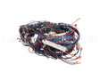 WIR2346 Trane Wiring