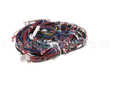 WIR2346 Trane Wiring
