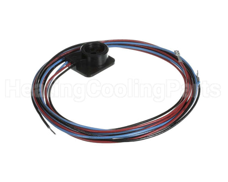 WIR3351 Trane Ckt 2 Scoll Compressor Wire
