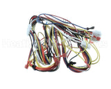 WIR4138 Trane Wiring