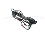 WIR6764 Trane Wiring Harness