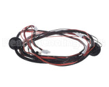 WIR7050 Trane Wiring