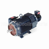Y395 Marathon Variable Speed Motor