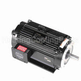 Y544 Marathon Variable Speed Motor