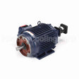 Y981 Marathon Variable Speed Motor