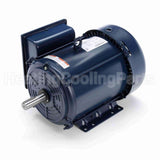 Z117 Marathon Motor